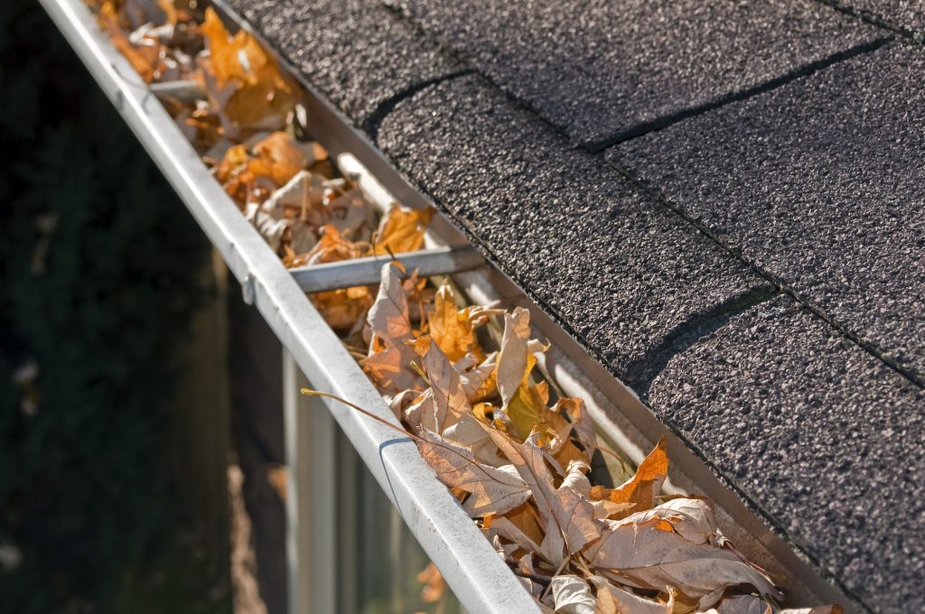 gutter