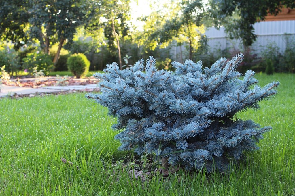 enhance your outdoor space with professional landscaping services. from garden design to lawn care, discover expert solutions to create a beautiful and functional landscape.